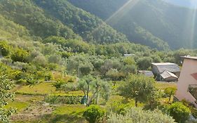 Casa Di Arya Codice Citra Lt-0043